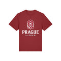 LIONS T-SHIRT - RED